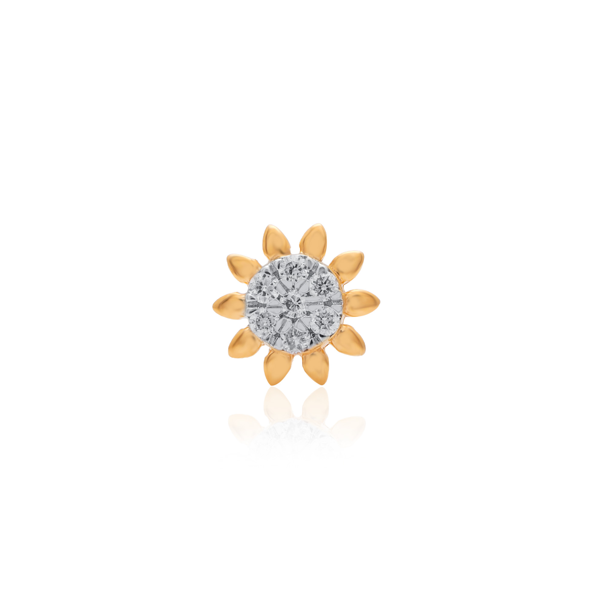 ANP00073 - 1