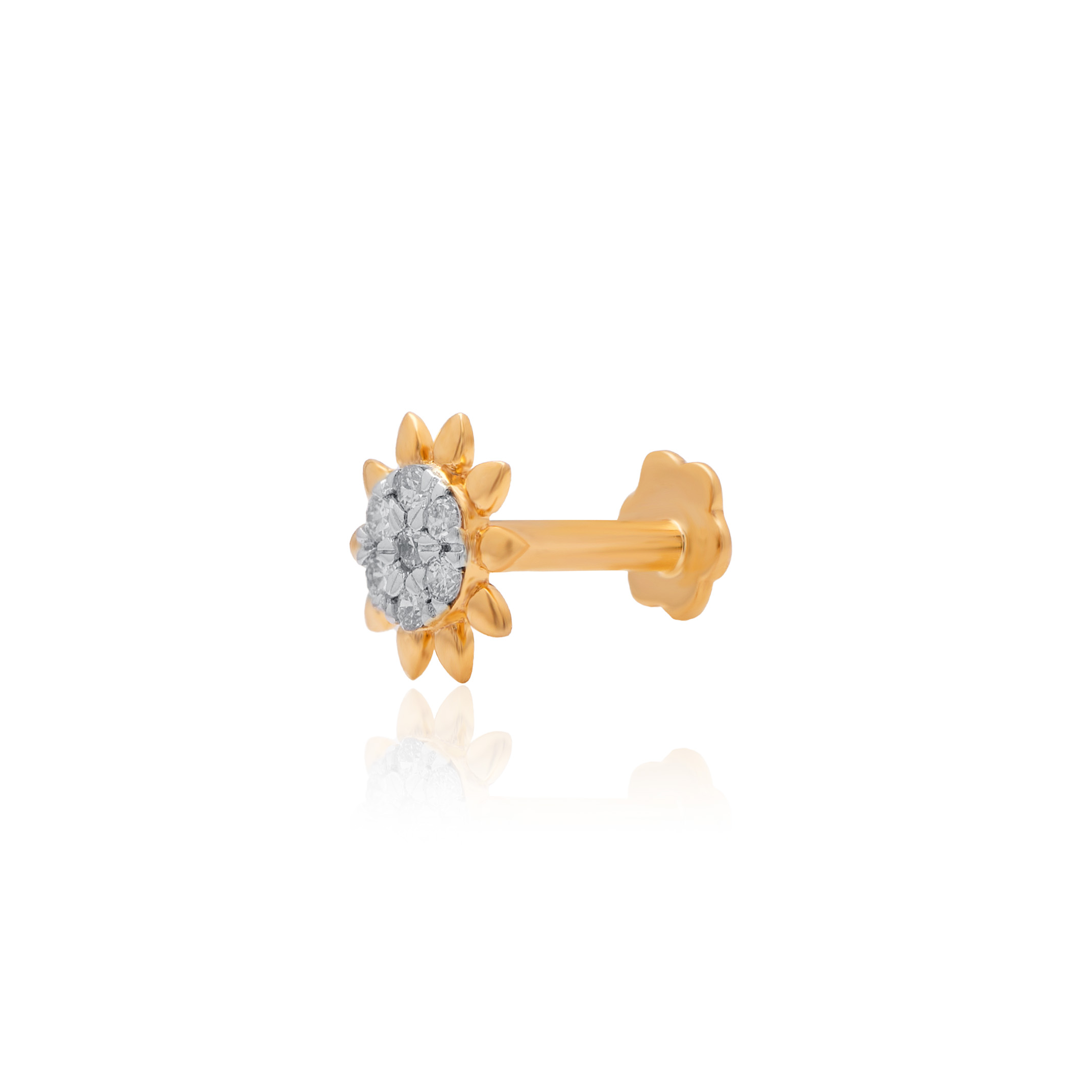 ANP00073 - 2