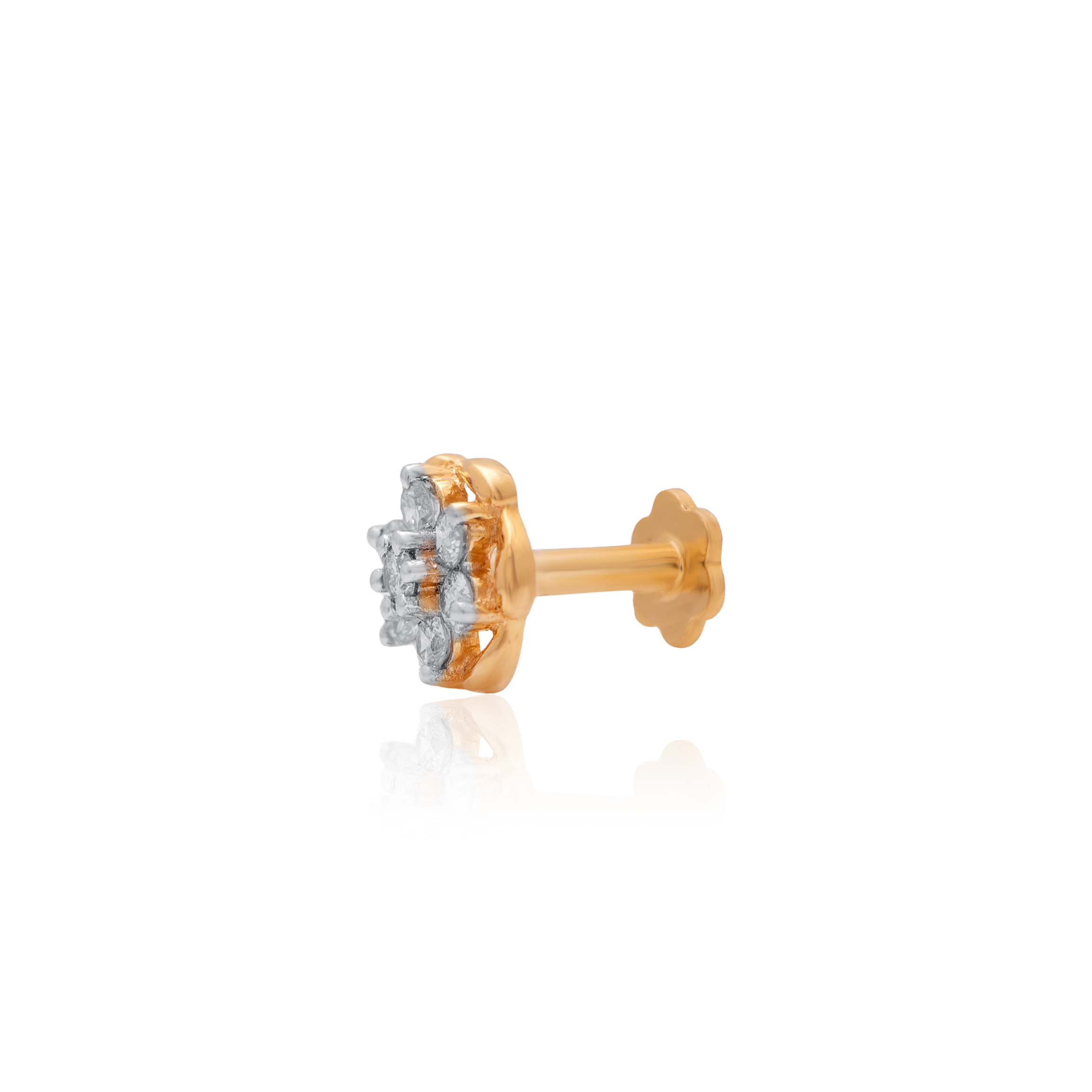 ANP00082 - 2