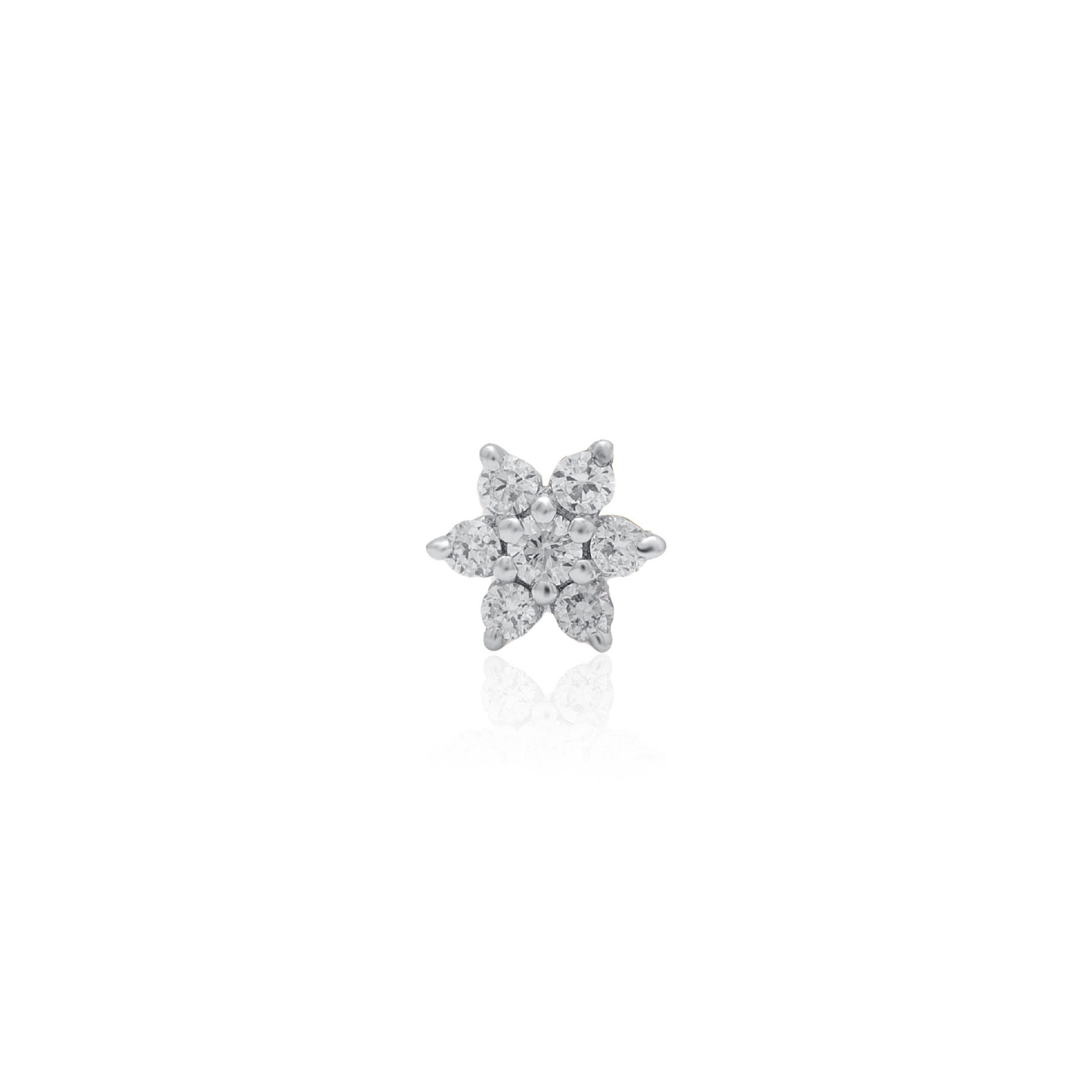 ANP00071 - 1