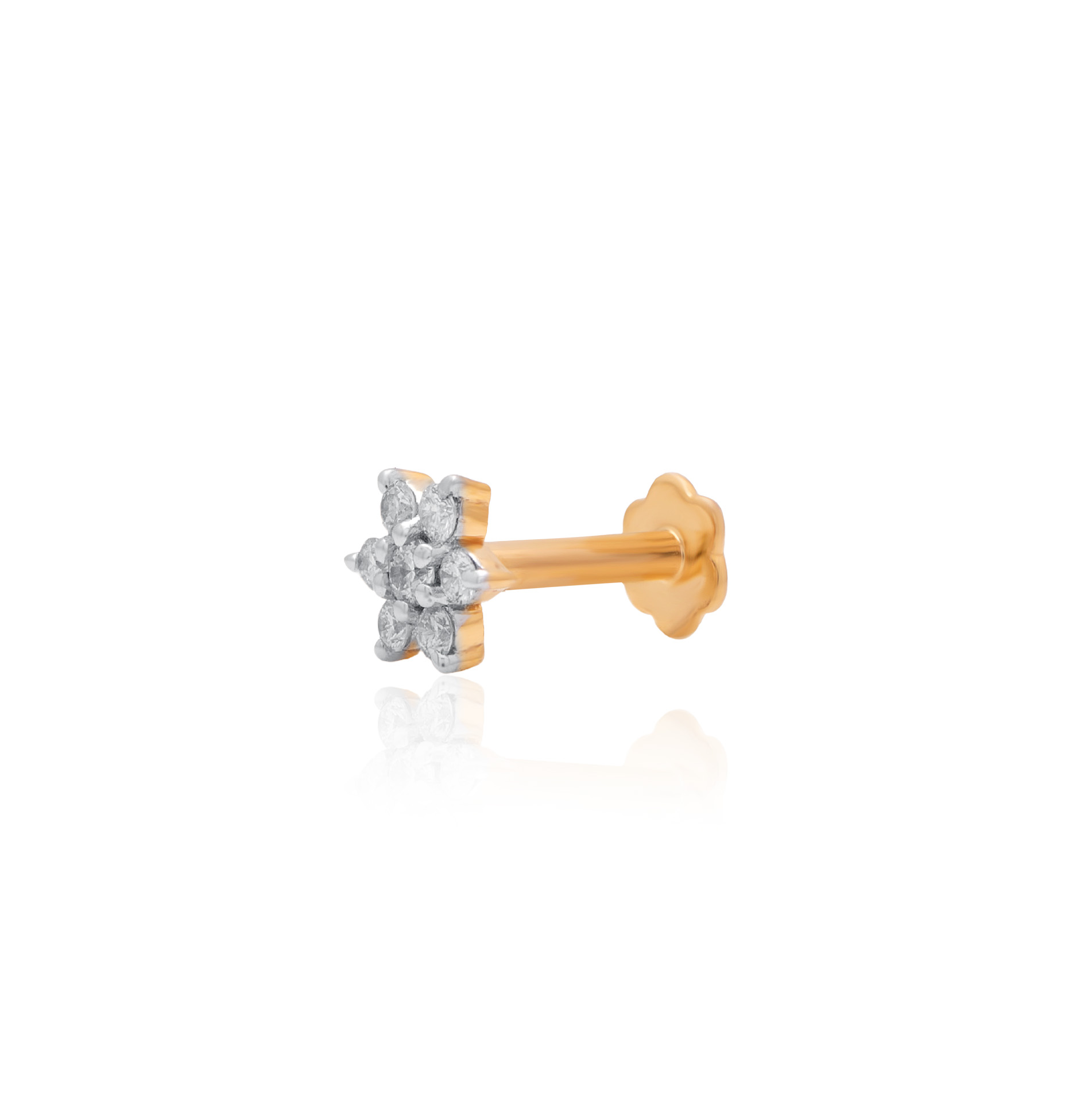 ANP00071 - 2