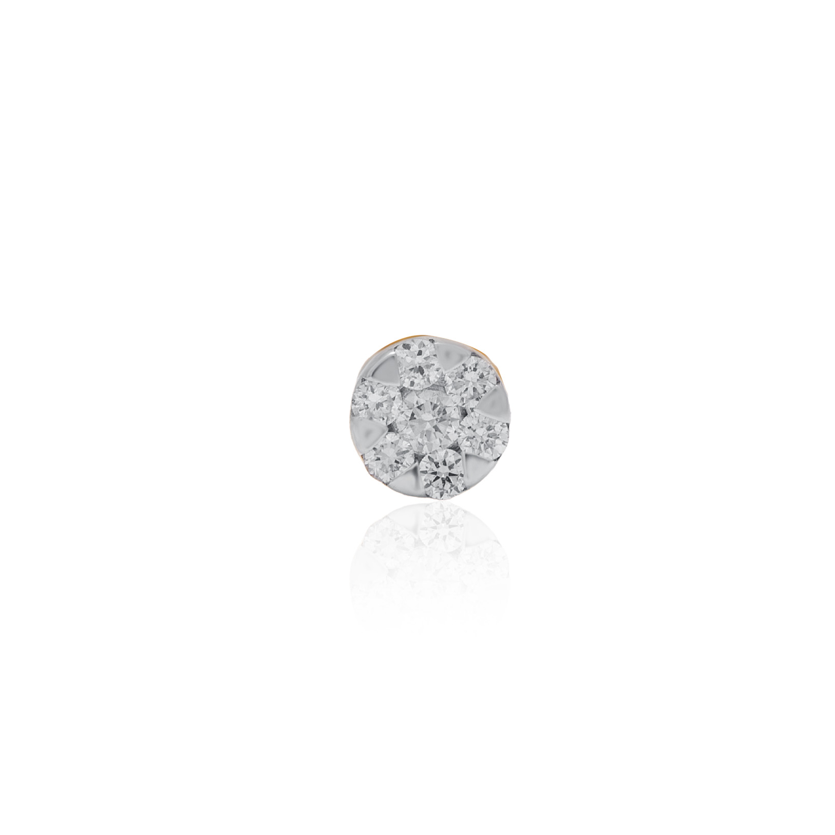 ANP00079 - 1