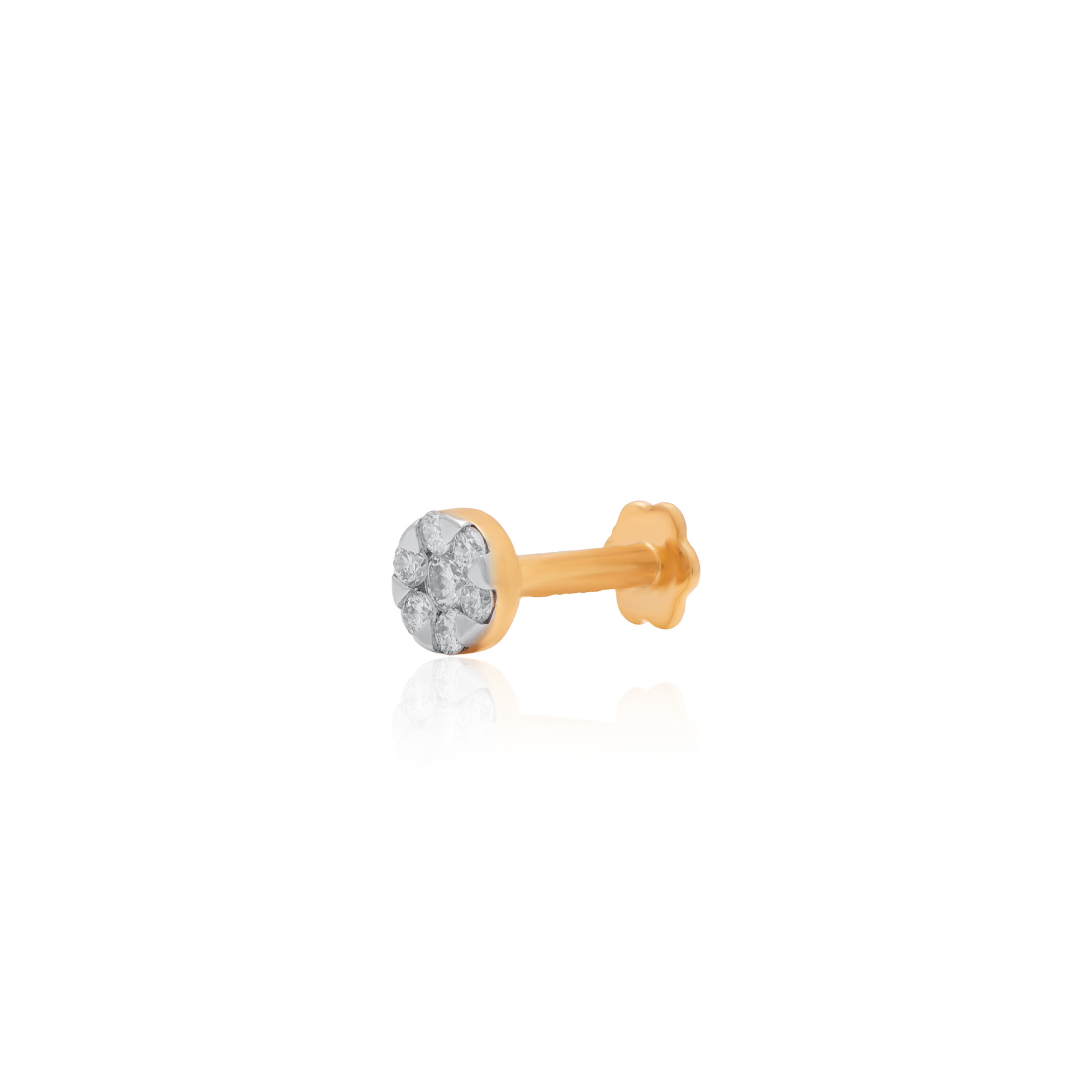 ANP00079 - 2