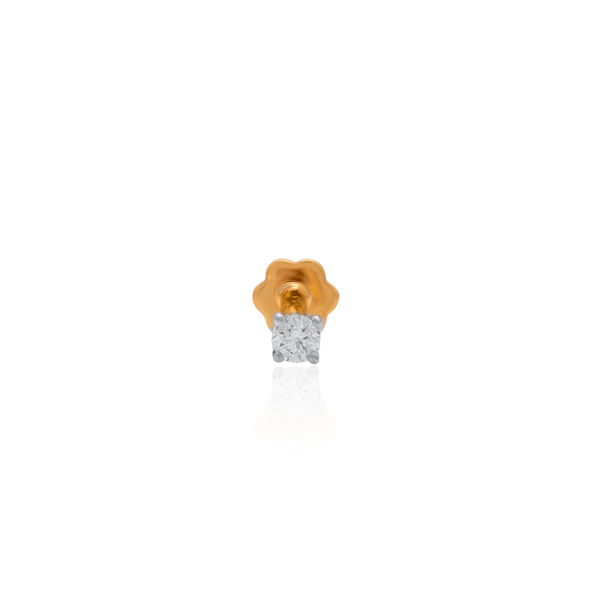 ANP00084 - 1