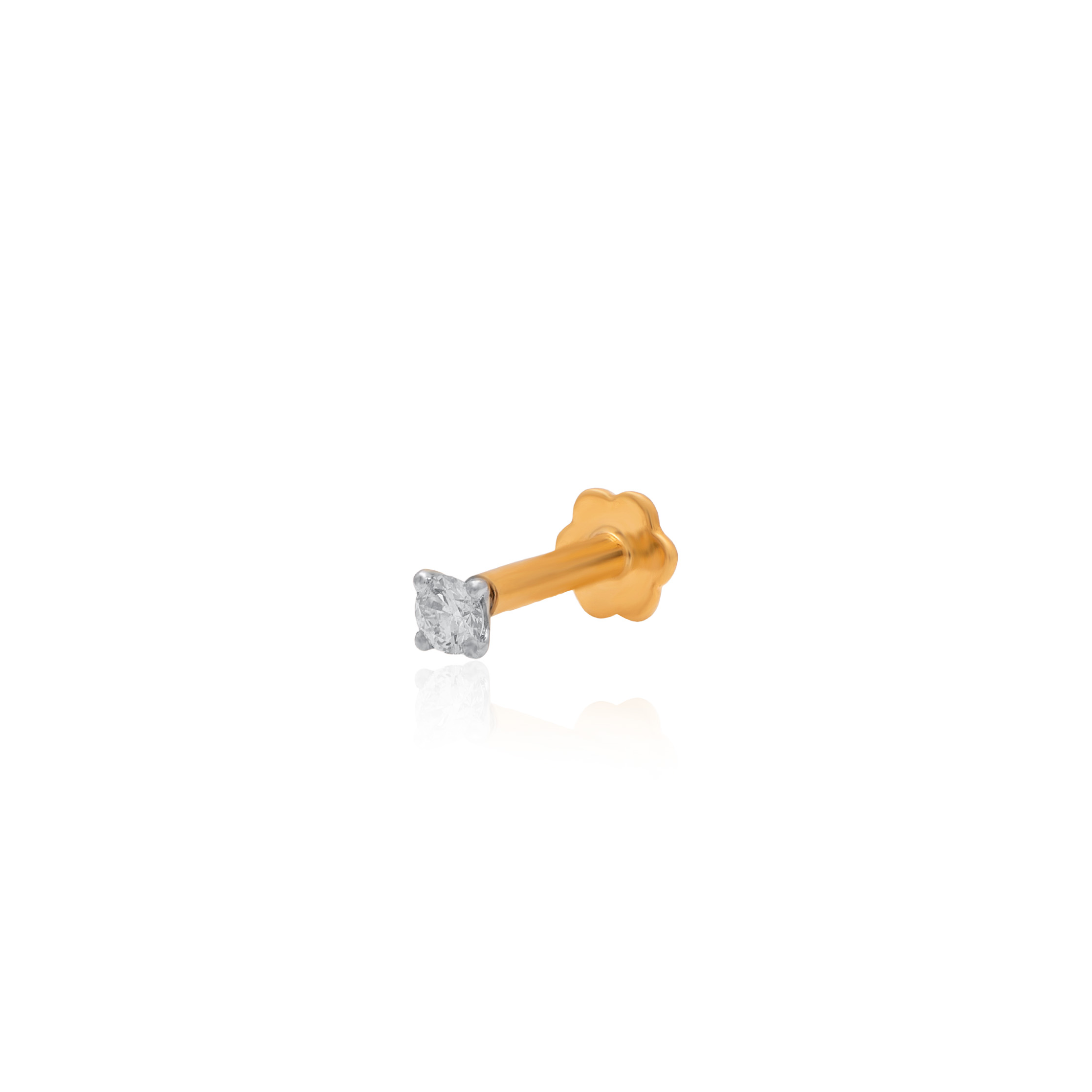 ANP00084 - 2